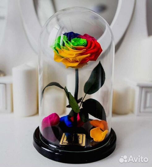 Розы в колбе разные