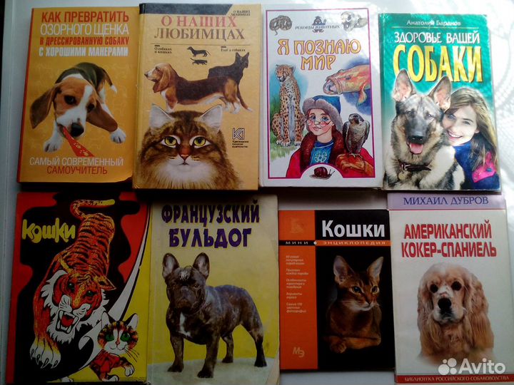 Животный мир.Кошки Собаки.Птицы