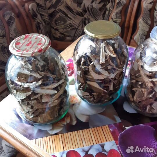 Грибы, Боровики