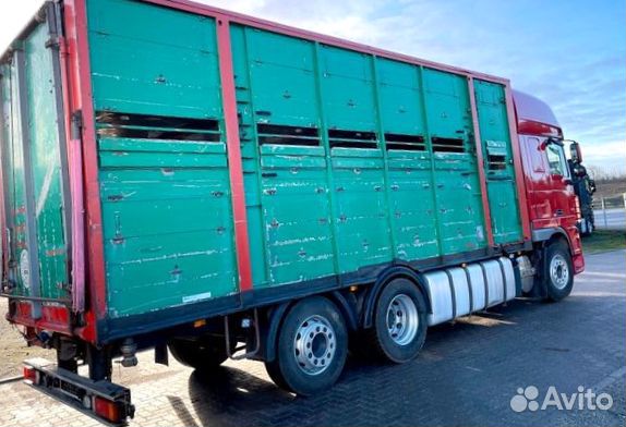 Запчасти б/у на DAF, XF105 2010-2015