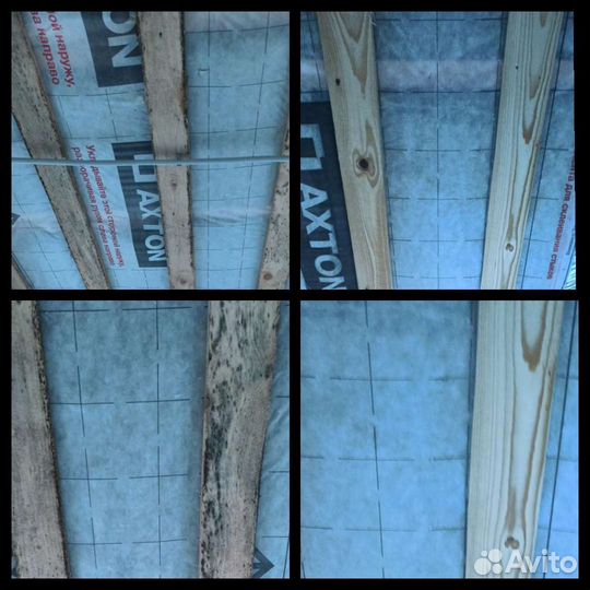 Удаление грибка и плесени