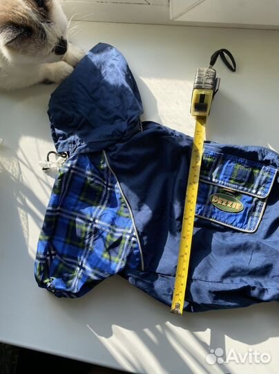 Костюм для собаки новый