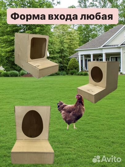 Гнездо для кур с яйцесборником