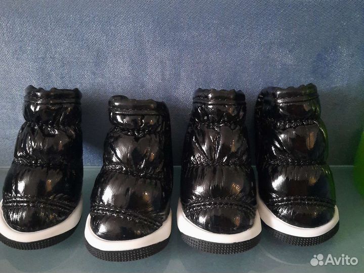 Ботинки для маленьких собак