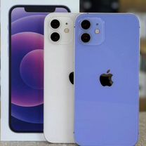 iPhone 12, 256 ГБ, Севастополь