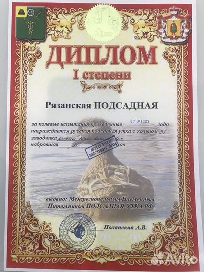 Утки подсадные для охоты