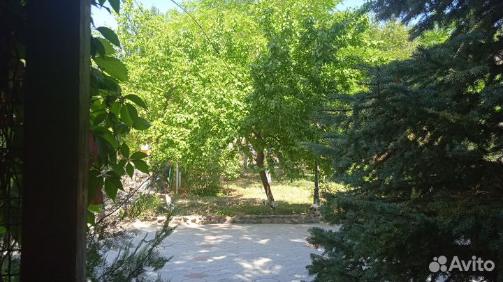 Продаю яблоки для компота, варенья, или закаток