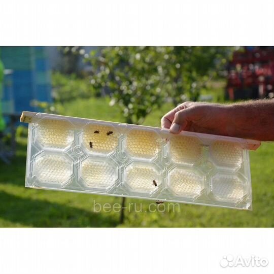 Рамки для сотового меда Панский сот-145 Магазин (к