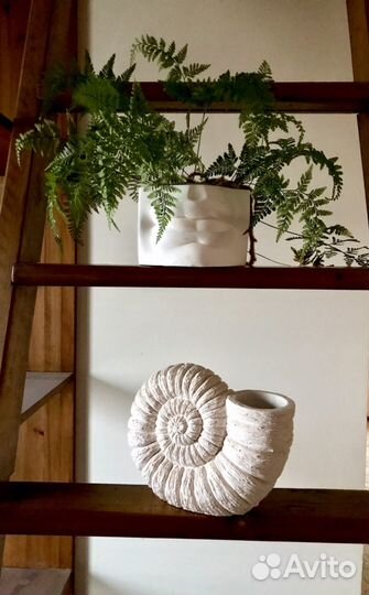 Аммонит,статуэтка,кашпо