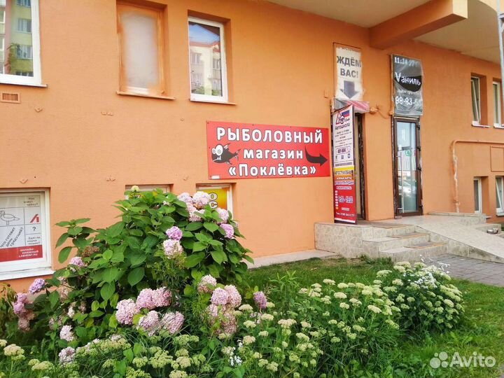 Червь навозный