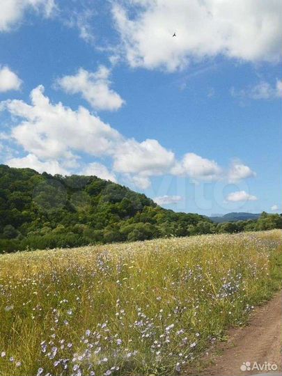 Участок 5,7 га (СНТ, ДНП)