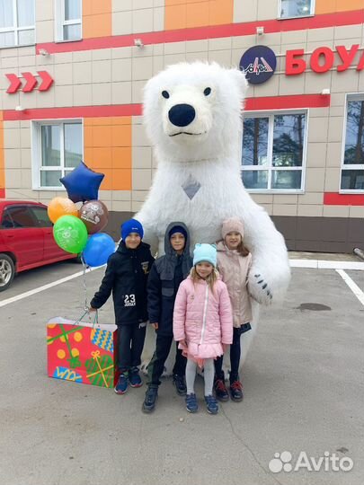 Белый мишка поздравление ростовой медведь аниматор