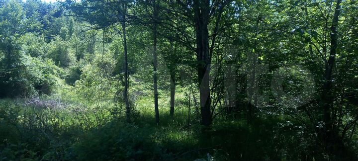 Участок 5,3 сот. (СНТ, ДНП)