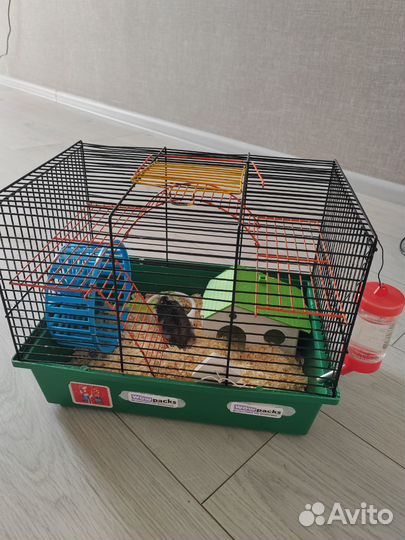 Хомяк с клеткой