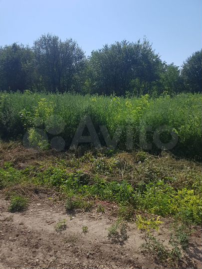 Участок 13,5 сот. (ИЖС)