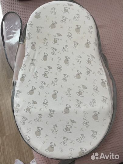 Кокон зевушка