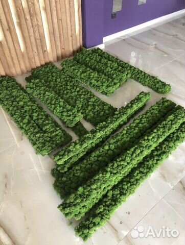 Стабилизированный мох