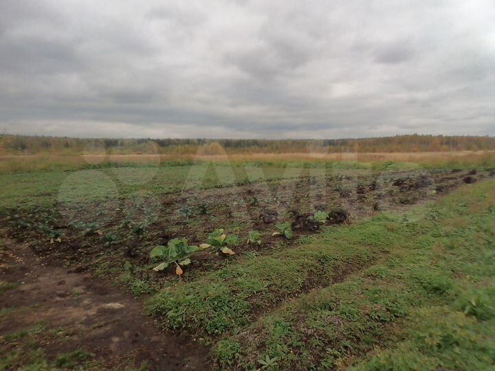 Участок 100 сот. (СНТ, ДНП)