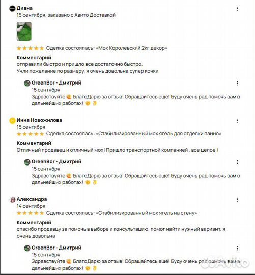 Мох для дизайнерских целей и задач премиум ягель