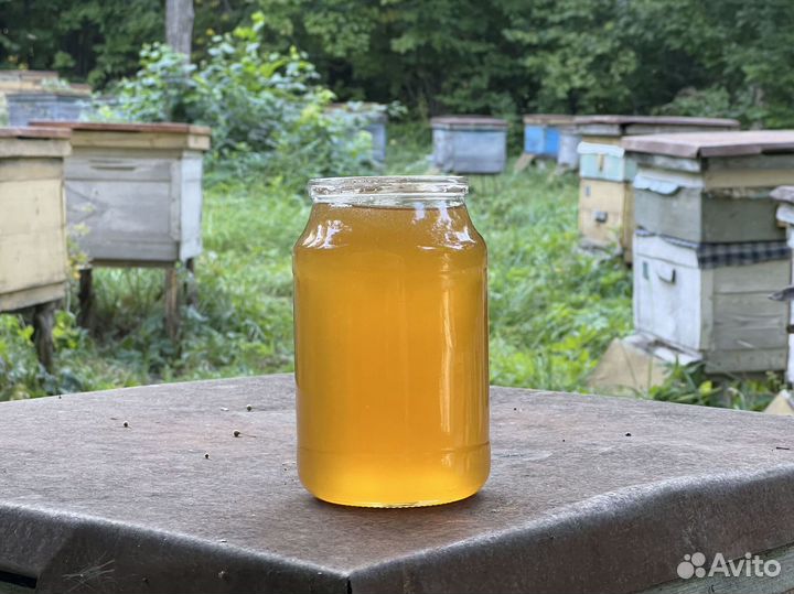 Мед оптом