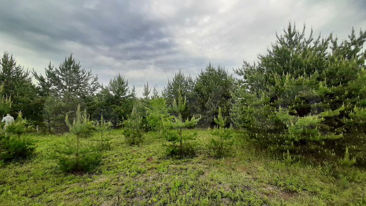 Участок 12 сот. (ИЖС)