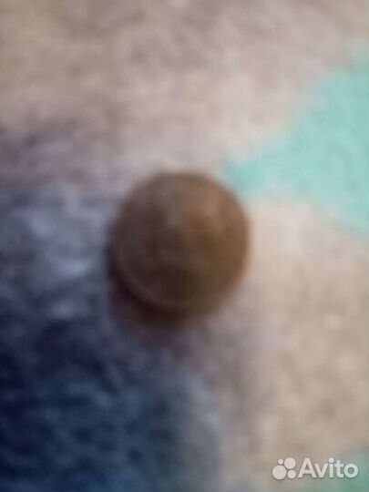 2 копейки 1964