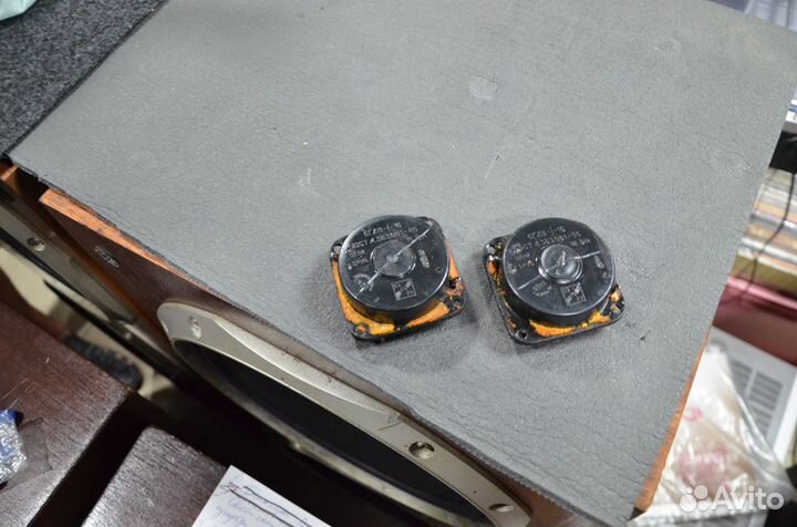 Динамики 6гдв-1-16