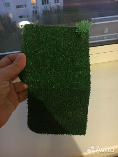 Мостик дляч черепах