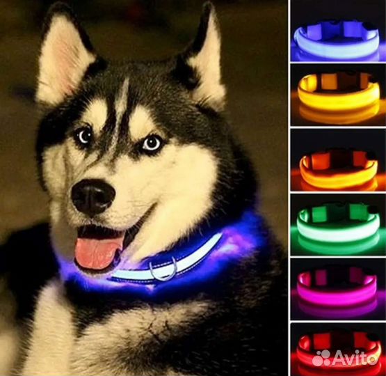 Светящийся ошейник для собак и кошек