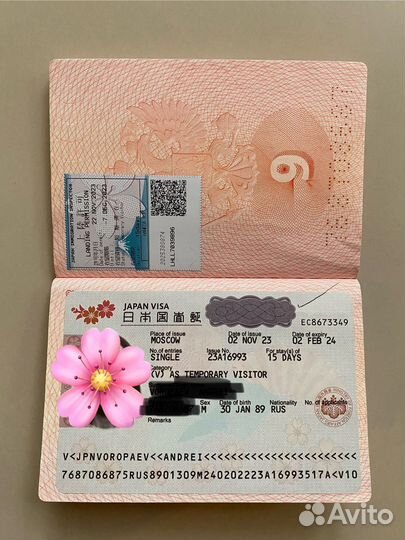 Виза в Японию