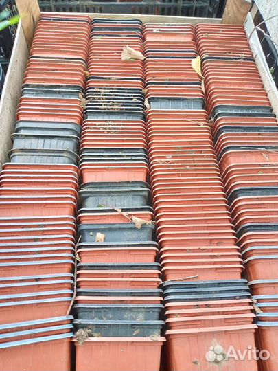 Горшки для рассады бу