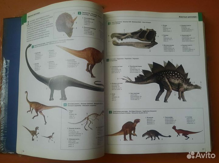 Большой иллюстрированный словарь