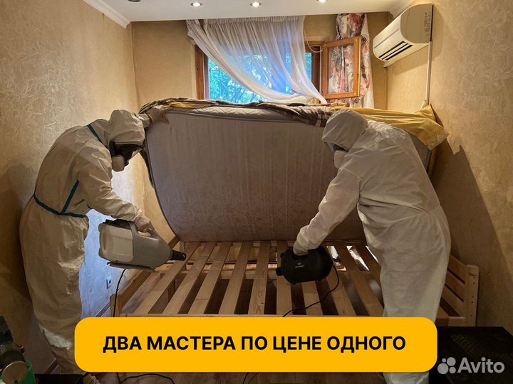 Дезинфекция/Дезинсекция от тараканов клопов крыс