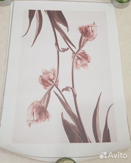 Картины / постеры