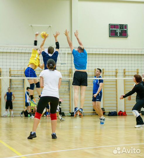 Любительский волейбол смешанные команды