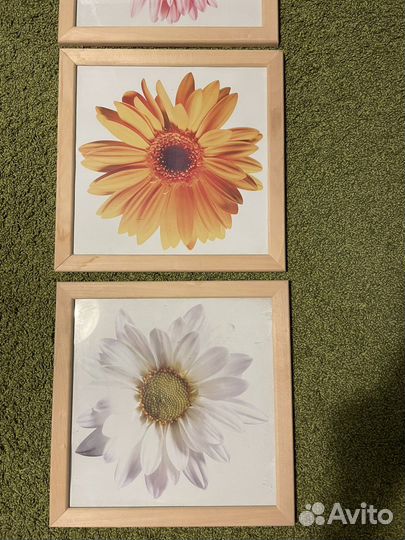 Картины и постеры IKEA