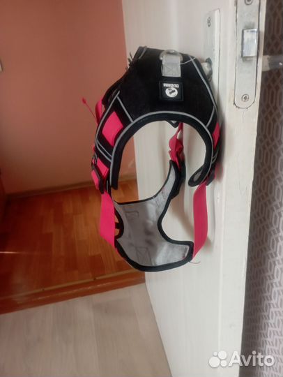 Шлейка для собаки