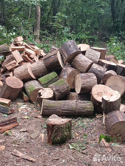 Дрова дубовые