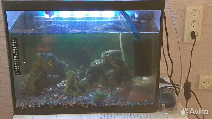 Аквариум с рыбками