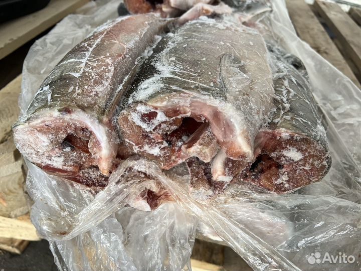 Кета пбг свежемороженая