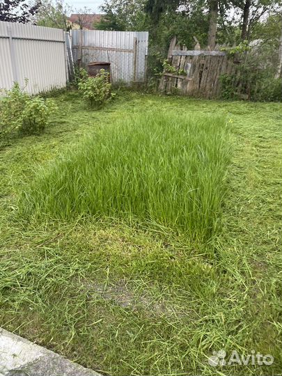 Свежескошенная Трава для Животных