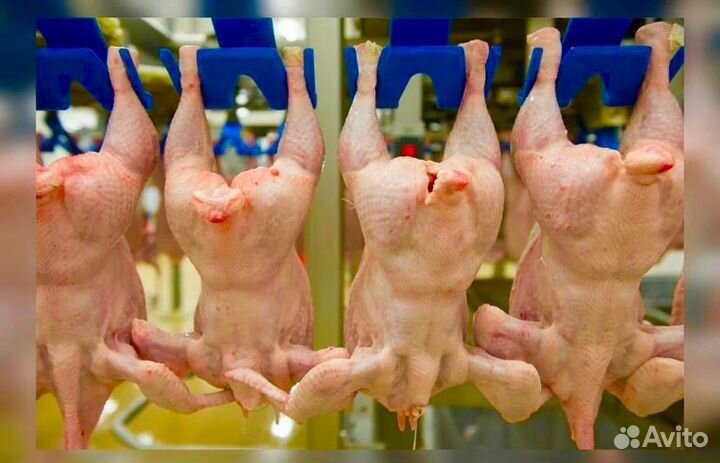 Вахта Белгород Проживание Питание Фасовщик-ца