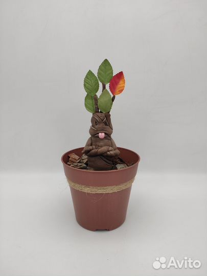 Мандрагора из «Гарри Поттера»