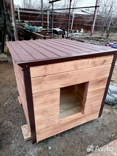 Будка для Алабая