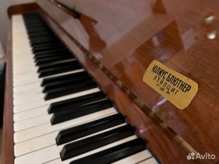 Фортепиано bluthner