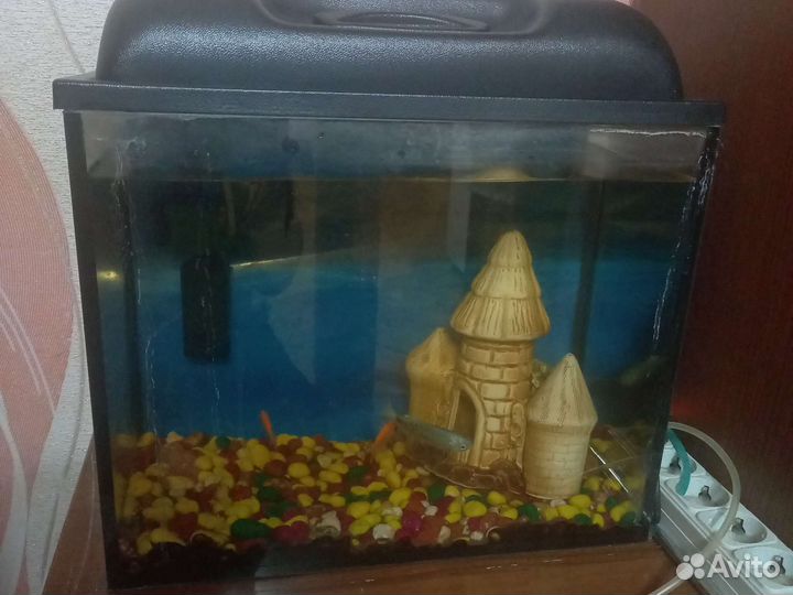 Аквариум