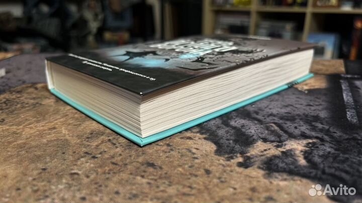 Тень белого ворона Ян Мир