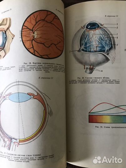 Учебник по медицине