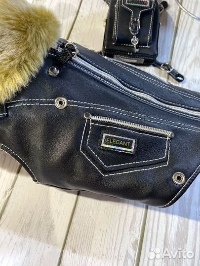 Одежда для собак