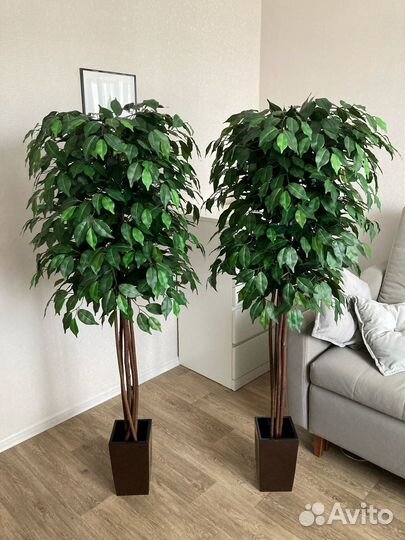 Искусственные цветы и деревья фикус манго